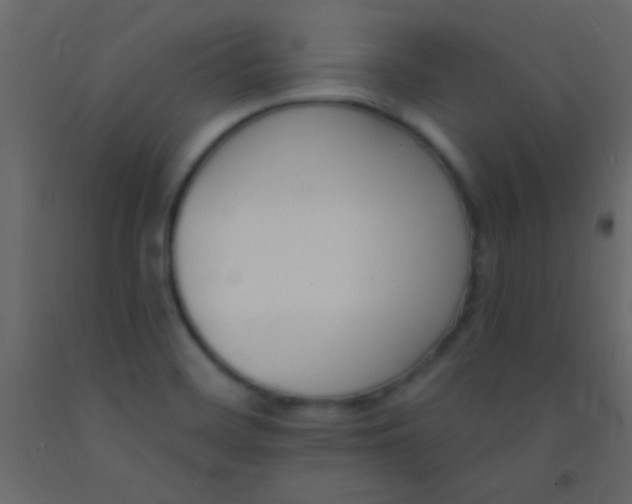 X0000093091468200710101507