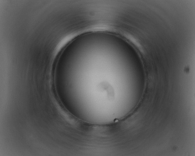 X0000093091469200710101507