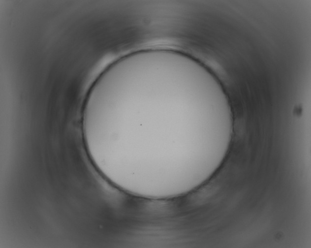 X0000093091470200710101507