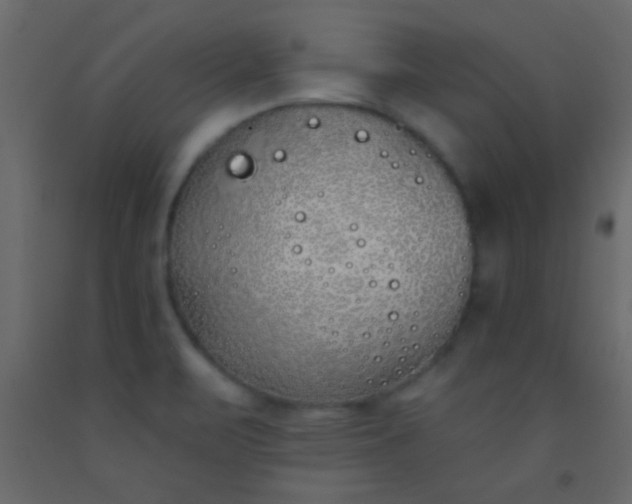 X0000093091471200710101507