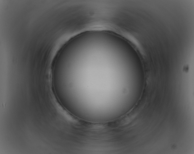 X0000093091472200710101507