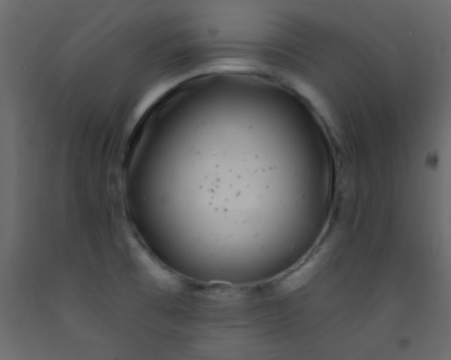 X0000093091473200710101507