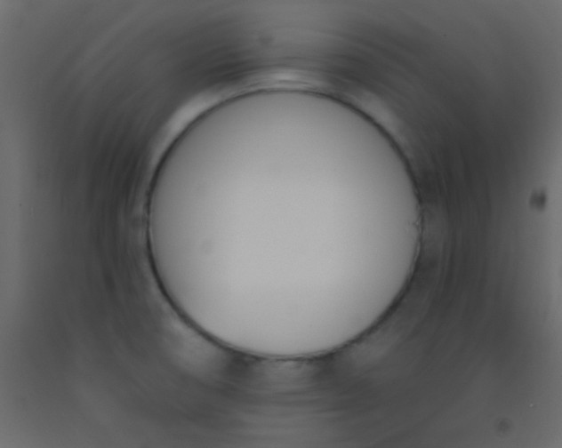 X0000093091474200710101506