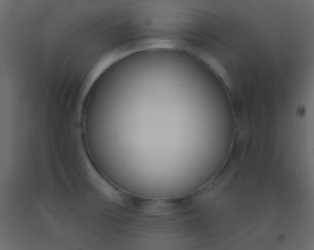 X0000093091475200710101506