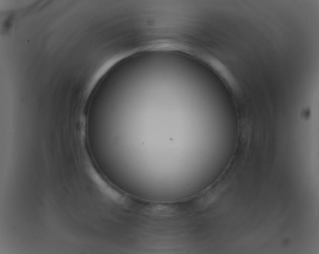 X0000093091476200710101506