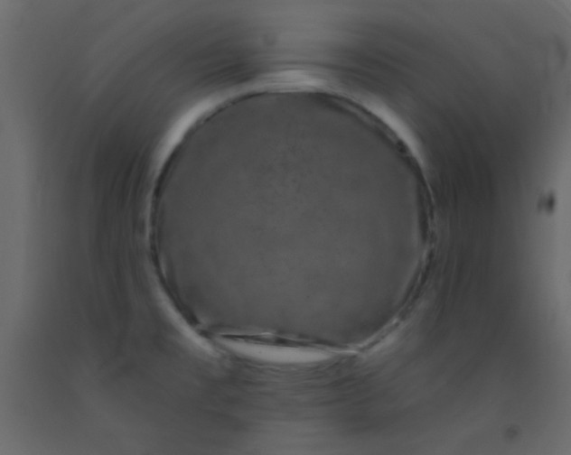 X0000093091477200710101506