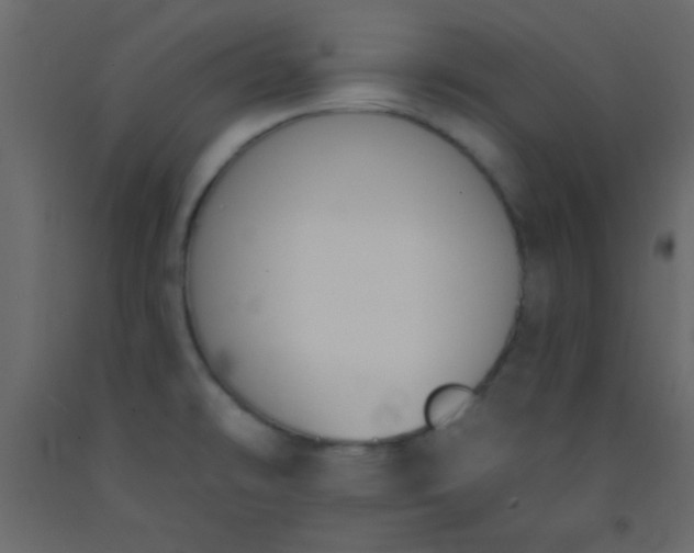 X0000093091478200710101506