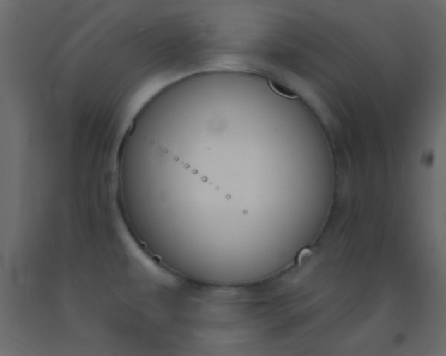 X0000093091479200710101506