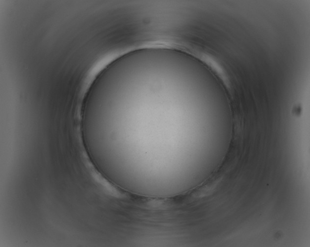 X0000093091480200710101506