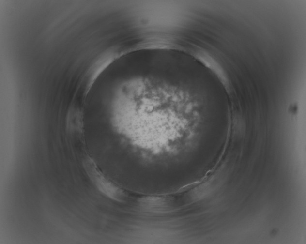 X0000093091481200710101506