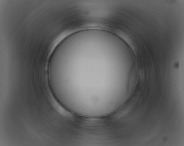 X0000093091482200710101506