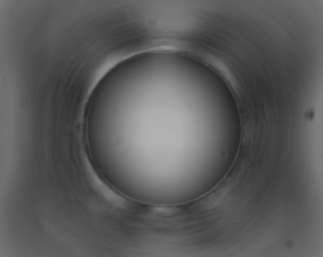 X0000093091483200710101506