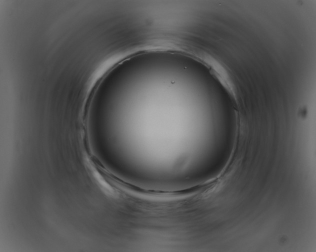 X0000093091485200710101506