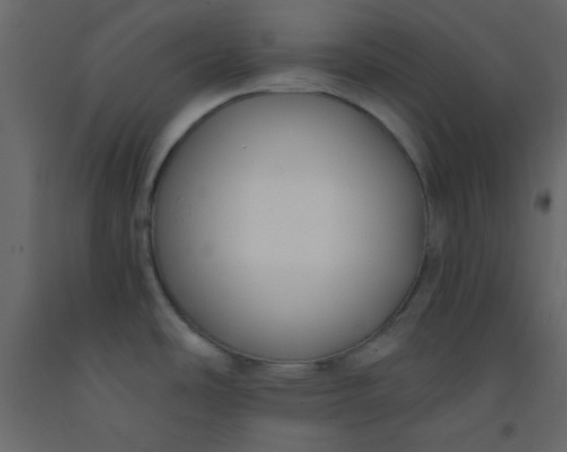 X0000093091486200710101506