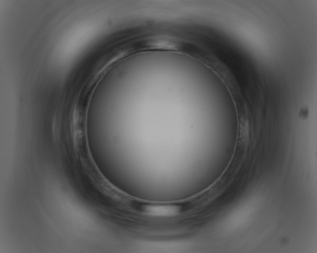 X0000093091487200710101506