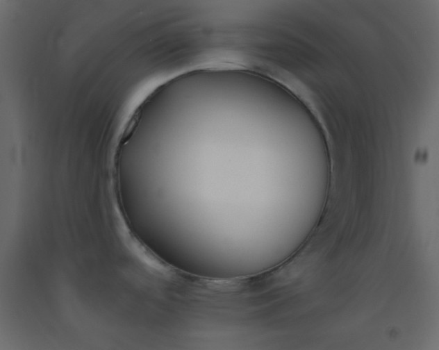 X0000093091488200710101506