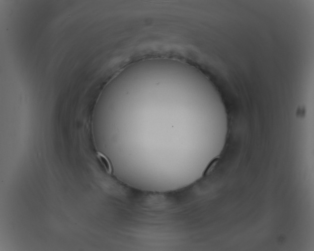 X0000093091489200710101506