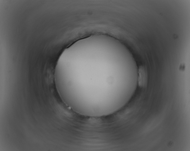 X0000093091491200710101506