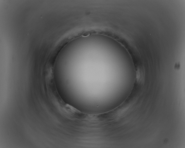 X0000093091492200710101506