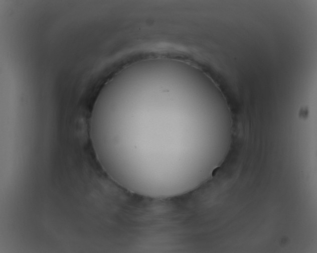 X0000093091493200710101506