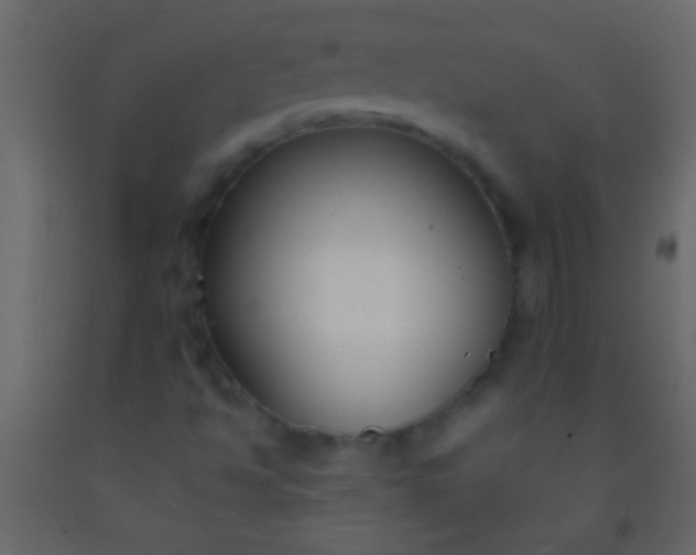 X0000093091494200710101506