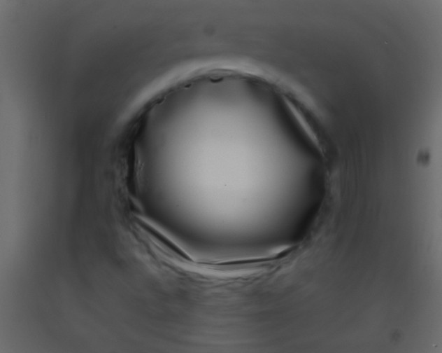 X0000093091496200710101506