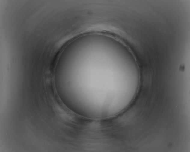 X0000093091497200710101506