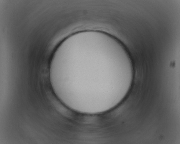 X0000093091498200710101506