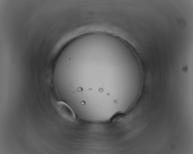 X0000093091499200710101506