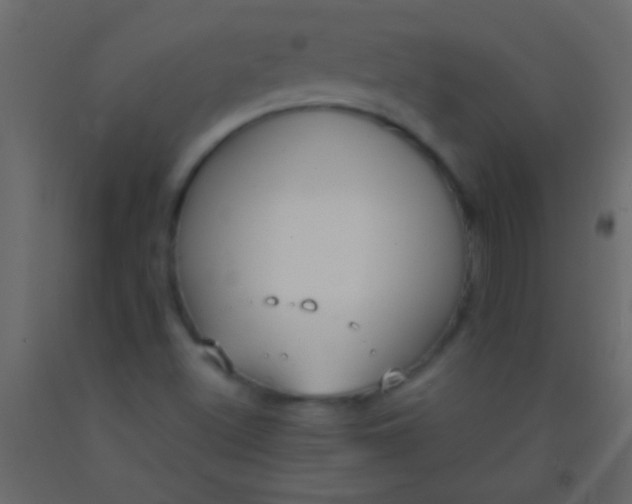 X0000093091500200710101506