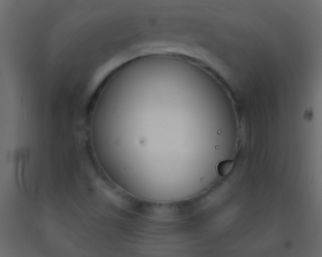 X0000093091501200710101506