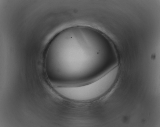 X0000093091502200710101506