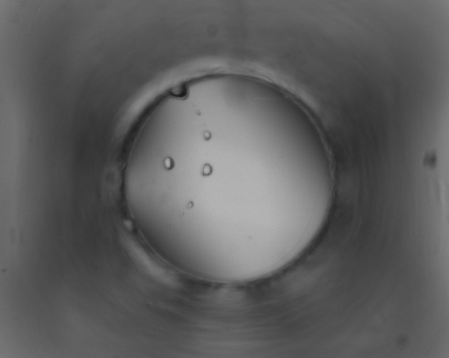 X0000093091503200710101506