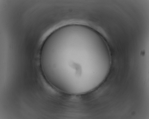 X0000093091504200710101506