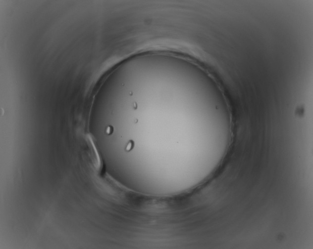 X0000093091505200710101506