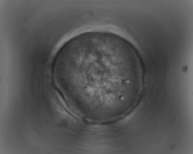 X0000093091506200710101506