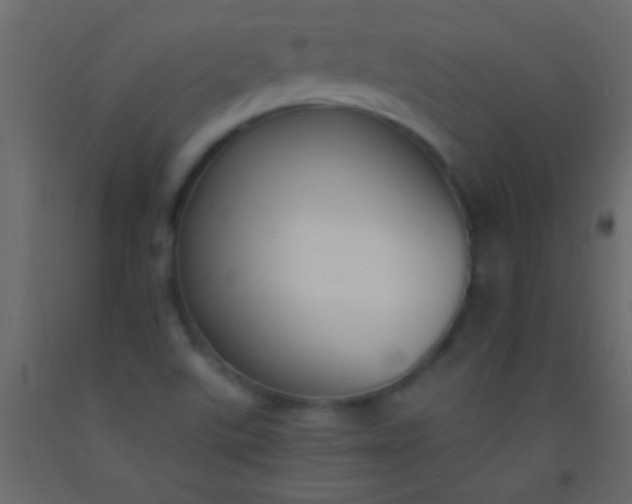 X0000093091507200710101506