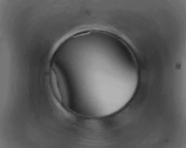 X0000093091508200710101506