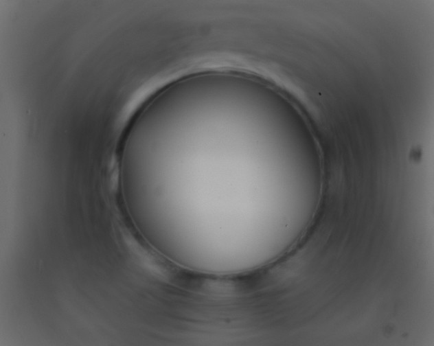 X0000093091509200710101506