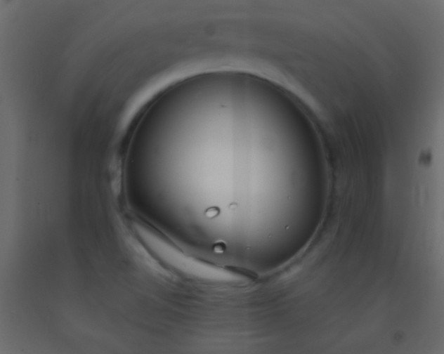 X0000093091510200710101506