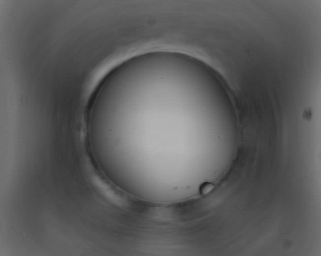 X0000093091511200710101506