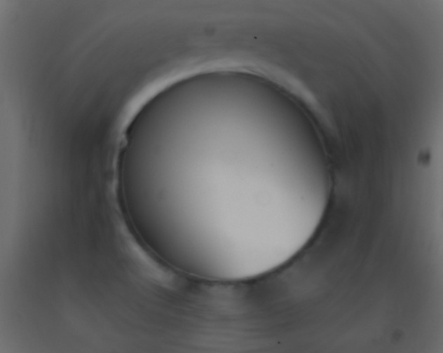 X0000093091512200710101506