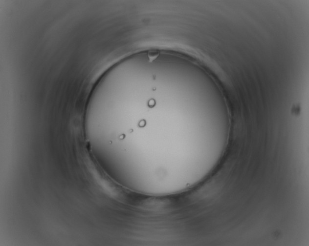 X0000093091513200710101506