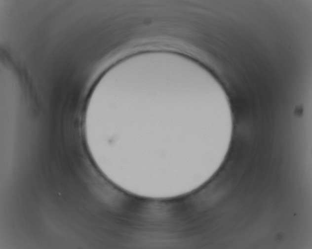 X0000093091514200710101506