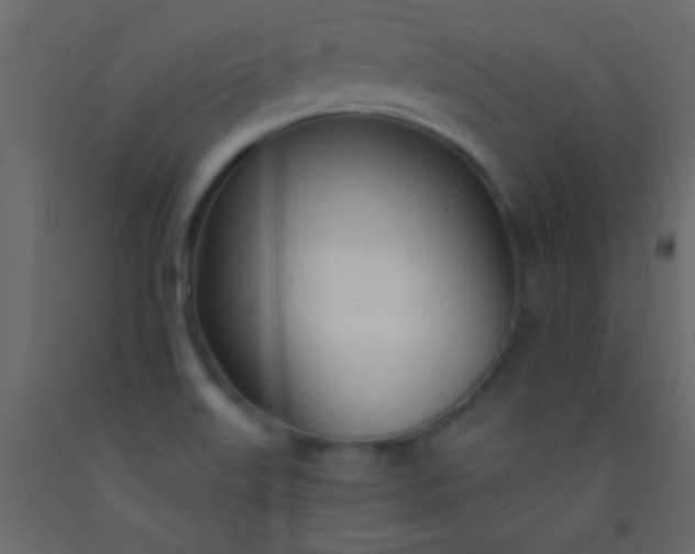 X0000093091515200710101506