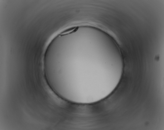 X0000093091516200710101506