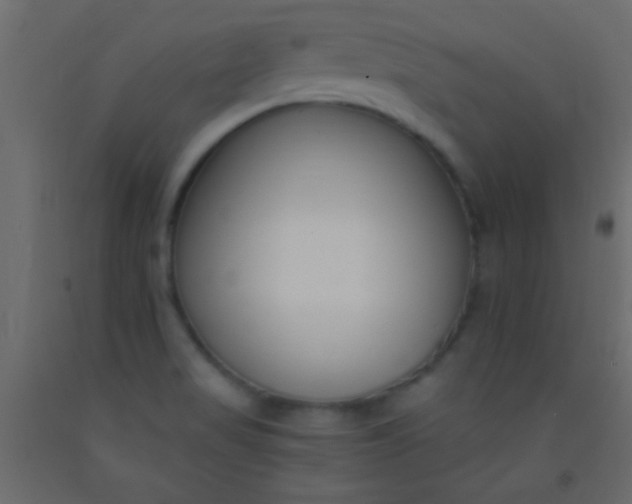 X0000093091517200710101506