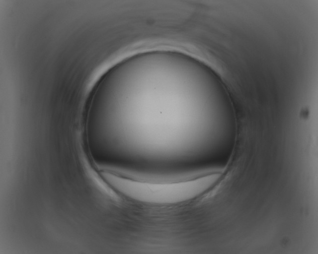 X0000093091518200710101506