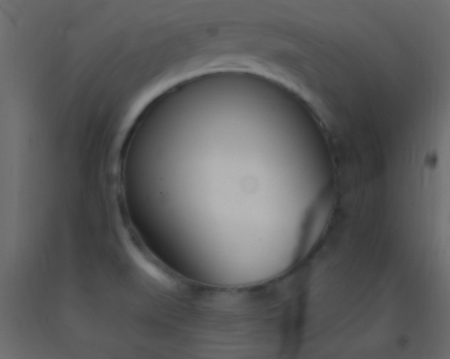 X0000093091519200710101506