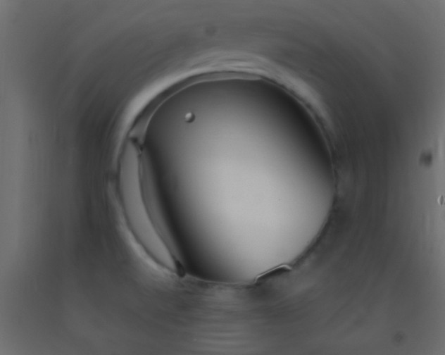 X0000093091520200710101506